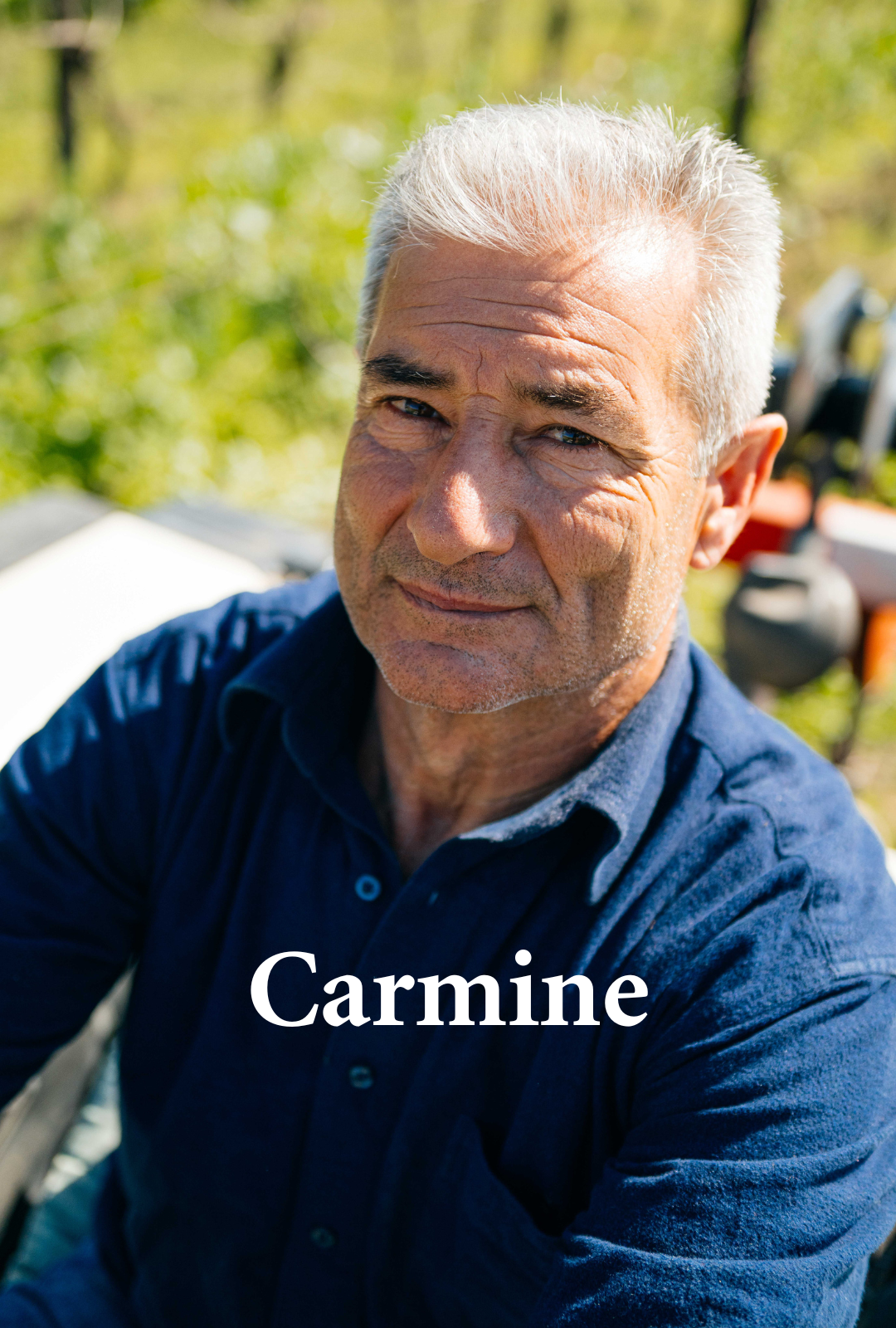 PICCIRILLO_Carmine